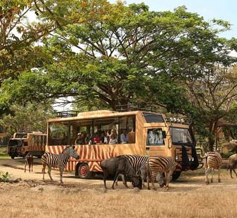 Bali Safari Marine Park